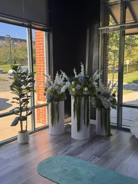Corner display of three white fluted pedestal arrangements with blue hydrangea and trailing green amaranthus beside a potted plant
